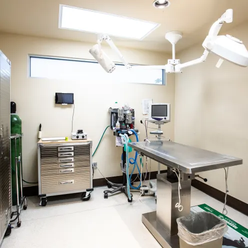 Overland Veterinary Clinic 1070 - Surgical Suite
